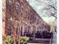 Capitol HIll & Eastern Market Residences