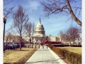 The Capitol Building
