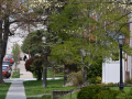 chevychase_0005_DSC_0258