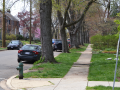 chevychase_0006_DSC_0259