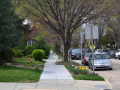 chevychase_0009_DSC_0268