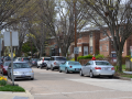 chevychase_0010_DSC_0269