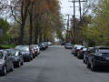 chevychase_0011_DSC_0271