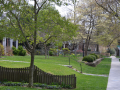 chevychase_0015_DSC_0275