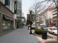 chevychase_0020_IMG_2019
