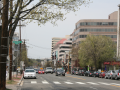 chevychase_0030_IMG_2037