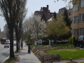 columbiaheights_0016_DSC_0244