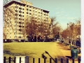 17th & S Dog Park, Dupont