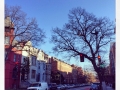 Dupont Residences
