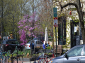 Le-Droit_Bloomingdale_0000_DSC_0138.JPG