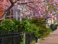 Le-Droit_Bloomingdale_0003_DSC_0144.JPG