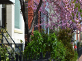 Le-Droit_Bloomingdale_0004_DSC_0146.JPG