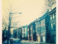 LIMG_0913
