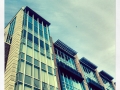 LIMG_0918