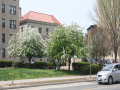 Mount-Pleasant_0025_IMG_2004.JPG