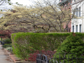 H-Street_0000_DSC_0107.JPG