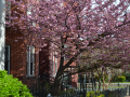 H-Street_0013_DSC_0128.JPG