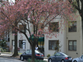Palisades_0005_DSC_0283.JPG