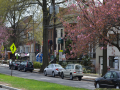 Palisades_0006_DSC_0285.JPG