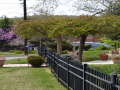 Palisades_0022_DSC_0314.JPG
