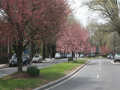 Palisades_0026_IMG_2045.JPG