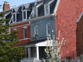Petworth_0000_DSC_0194.JPG