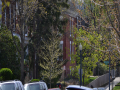 Petworth_0002_DSC_0199.JPG