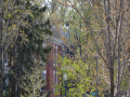 Petworth_0003_DSC_0201.JPG