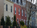 Petworth_0005_DSC_0203.JPG