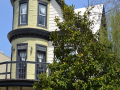 Petworth_0008_DSC_0206.JPG