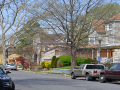 Petworth_0010_DSC_0208.JPG